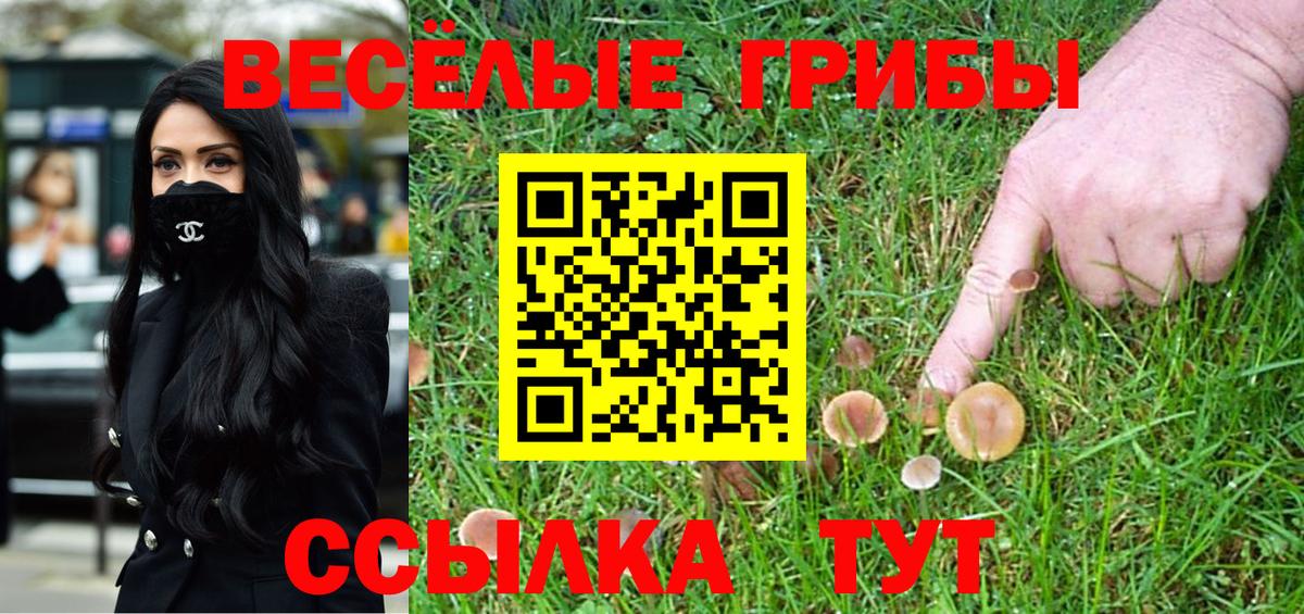 Минусинск  Галлюциногенные грибы мухоморы  Галлюциногенные грибы Magic Shrooms  Вход с VPN 